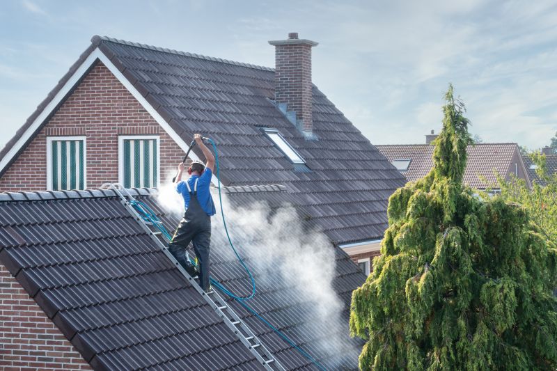 Asphalt Shingles Cleaning