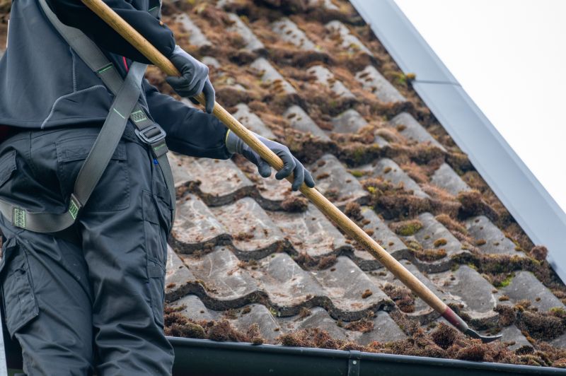 Cleaning Moss Off Roof