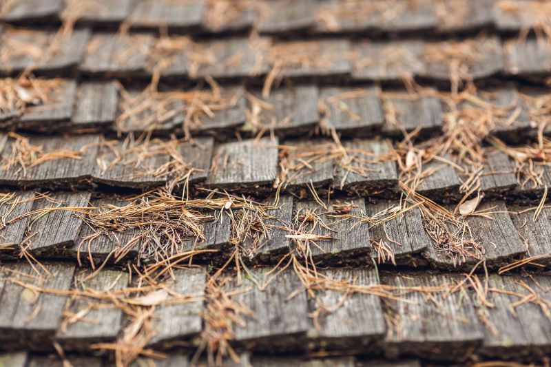 Roof Pine Needle Removal Process