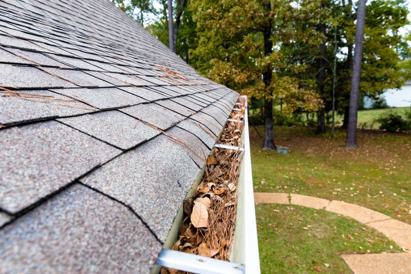 Roof with Pine Needles