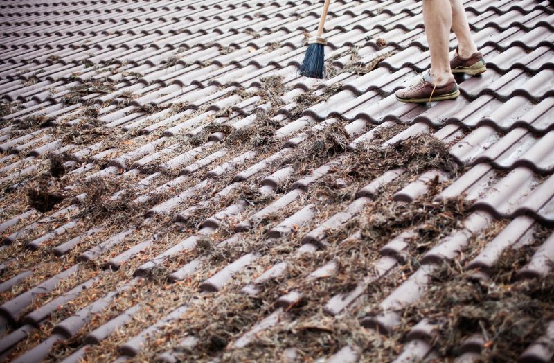 Roof Before Pine Needle Removal