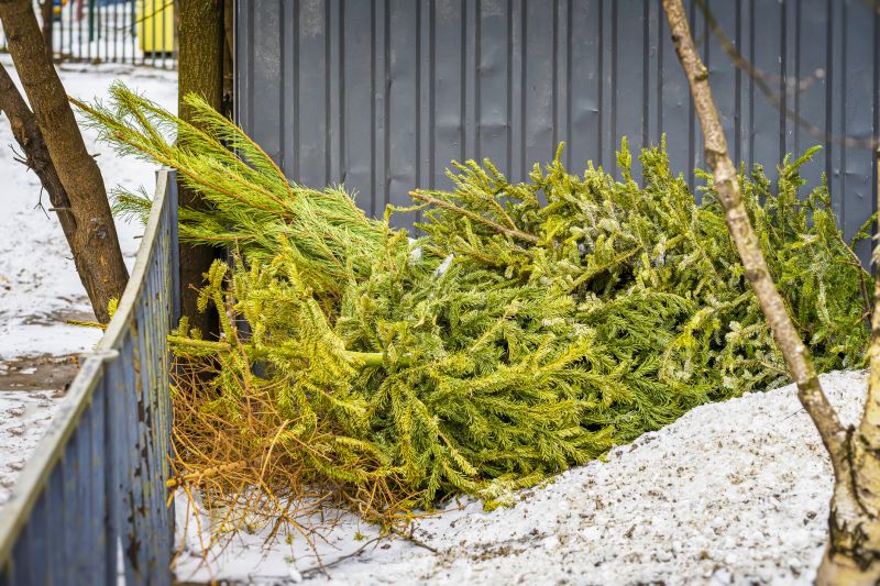 Proper Disposal of Debris