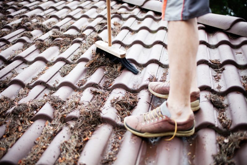 Roof Pine Needle Removal Products