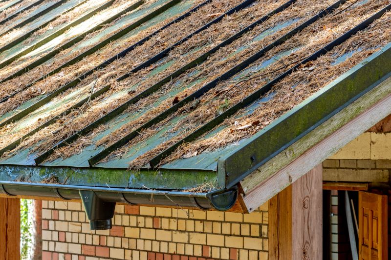 Extends roof lifespan